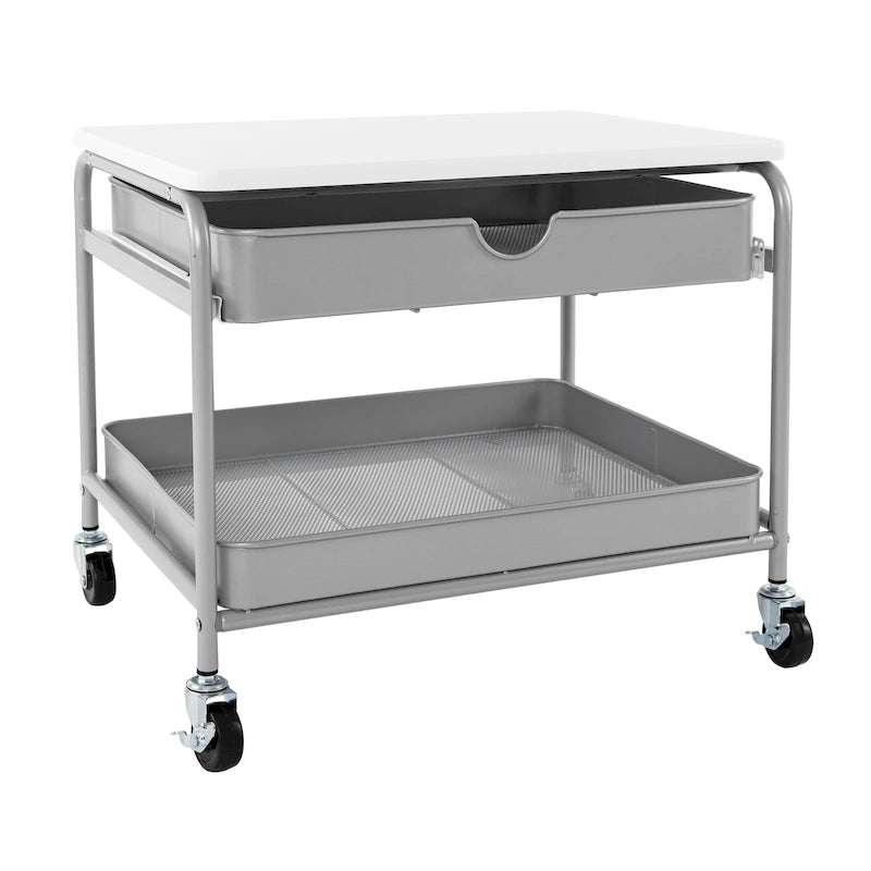 Carrito de almacenamiento e impresora para debajo del escritorio, plateado/blanco