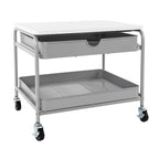 Carrito de almacenamiento e impresora para debajo del escritorio, plateado/blanco