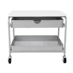 Carrito de almacenamiento e impresora para debajo del escritorio, plateado/blanco