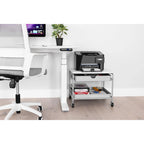 Carrito de almacenamiento e impresora para debajo del escritorio, plateado/blanco