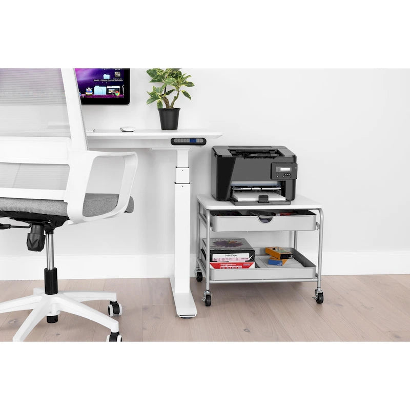 Carrito de almacenamiento e impresora para debajo del escritorio, plateado/blanco